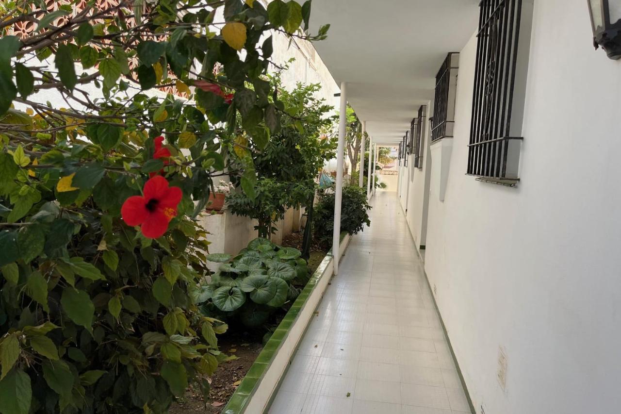 Paradise - El Califa 3 Appartement *